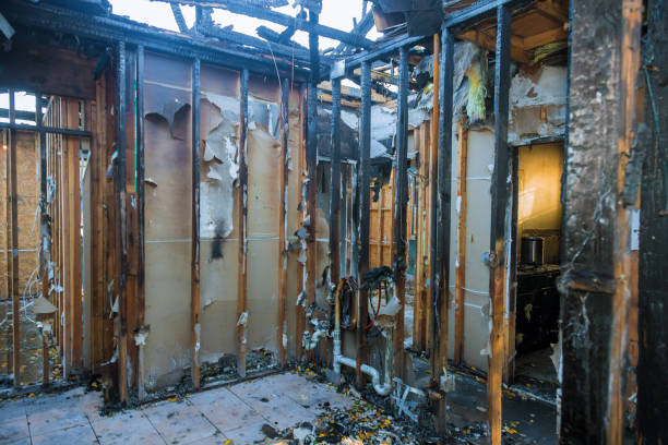 Professional Fire Damage Cleanup technician working in Herndon, VA